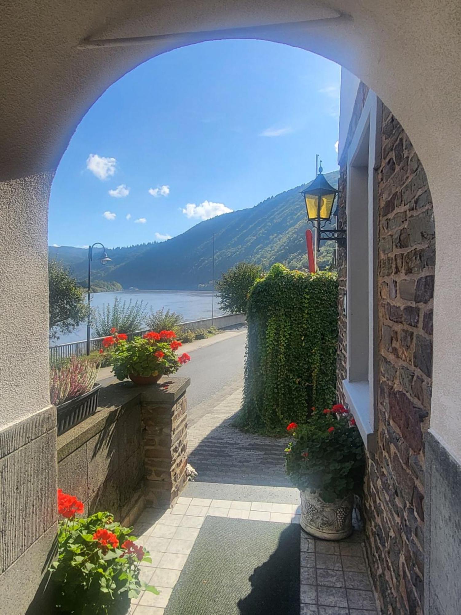 Mosel-Landhaus Am Moselufer B&B Briedern Экстерьер фото
