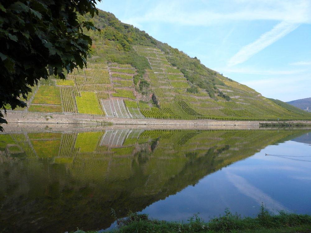 Mosel-Landhaus Am Moselufer B&B Briedern Экстерьер фото