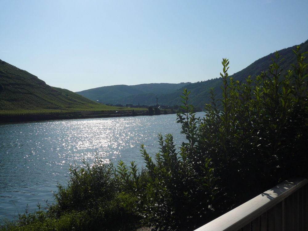 Mosel-Landhaus Am Moselufer B&B Briedern Экстерьер фото